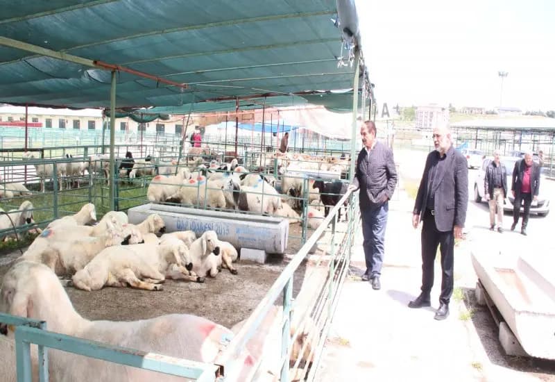 Şevket Keskin açıkladı: Malatya Hayvan Pazarında tekelleşme iddiaları var (15)